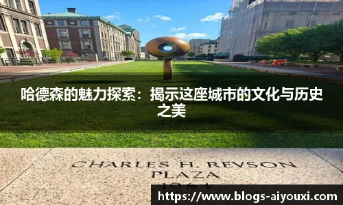哈德森的魅力探索：揭示这座城市的文化与历史之美